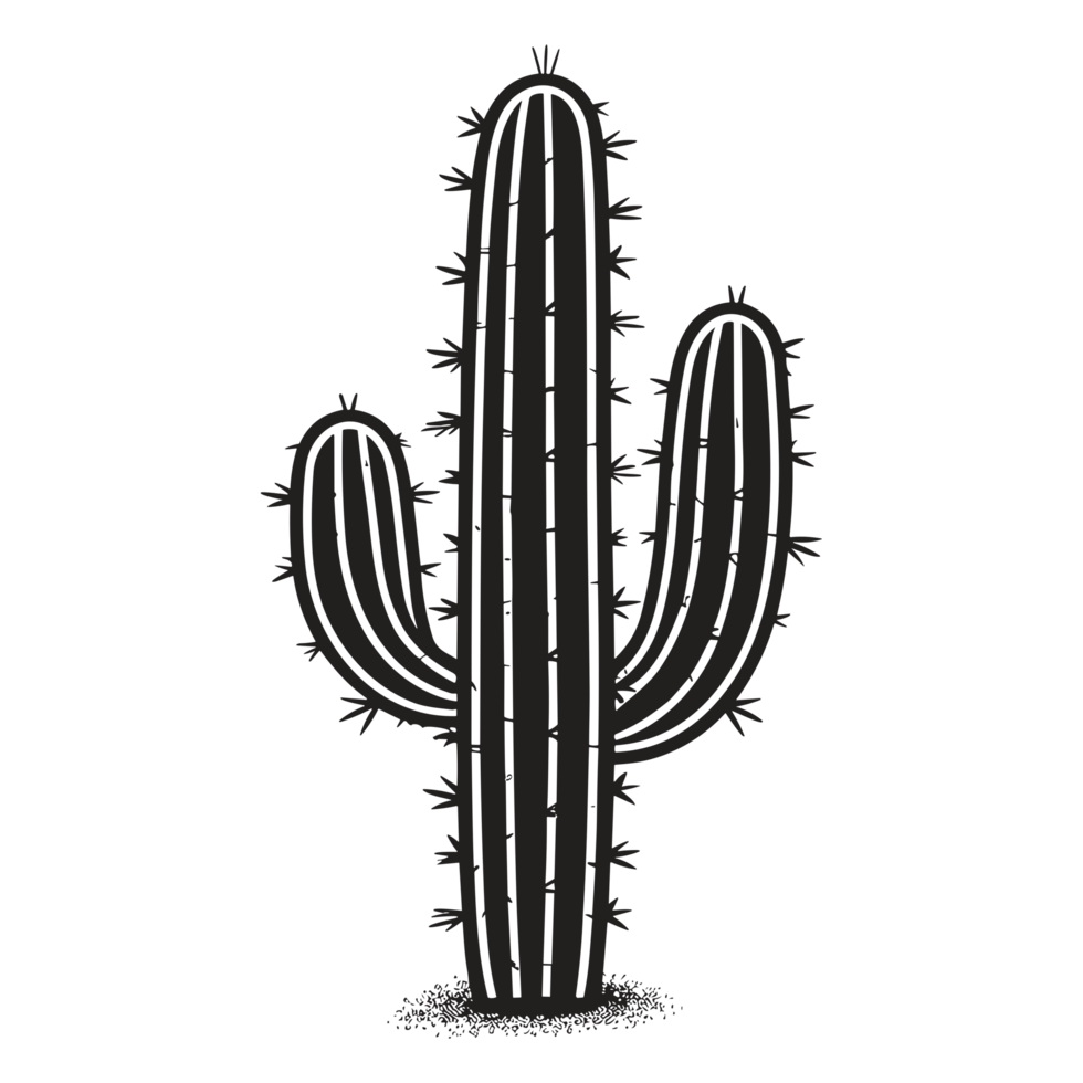 Beautiful Cactus - png