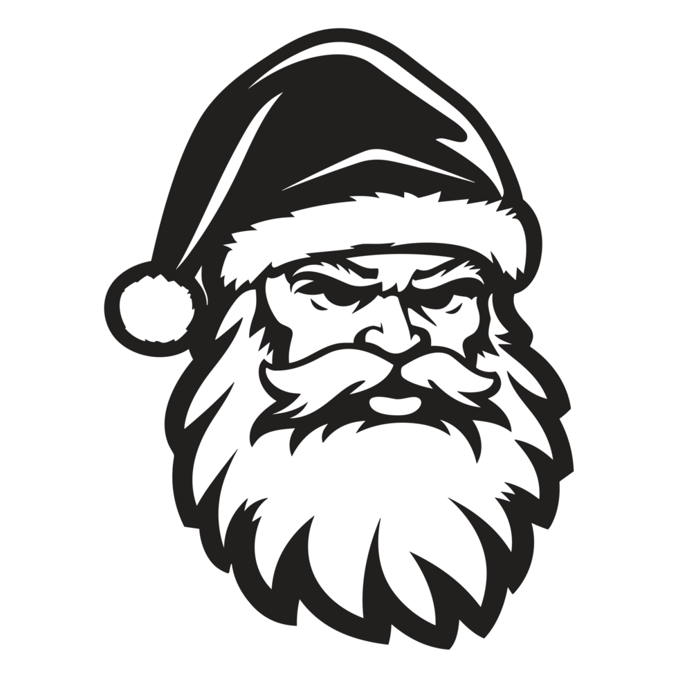 Beautiful Santa Face - png