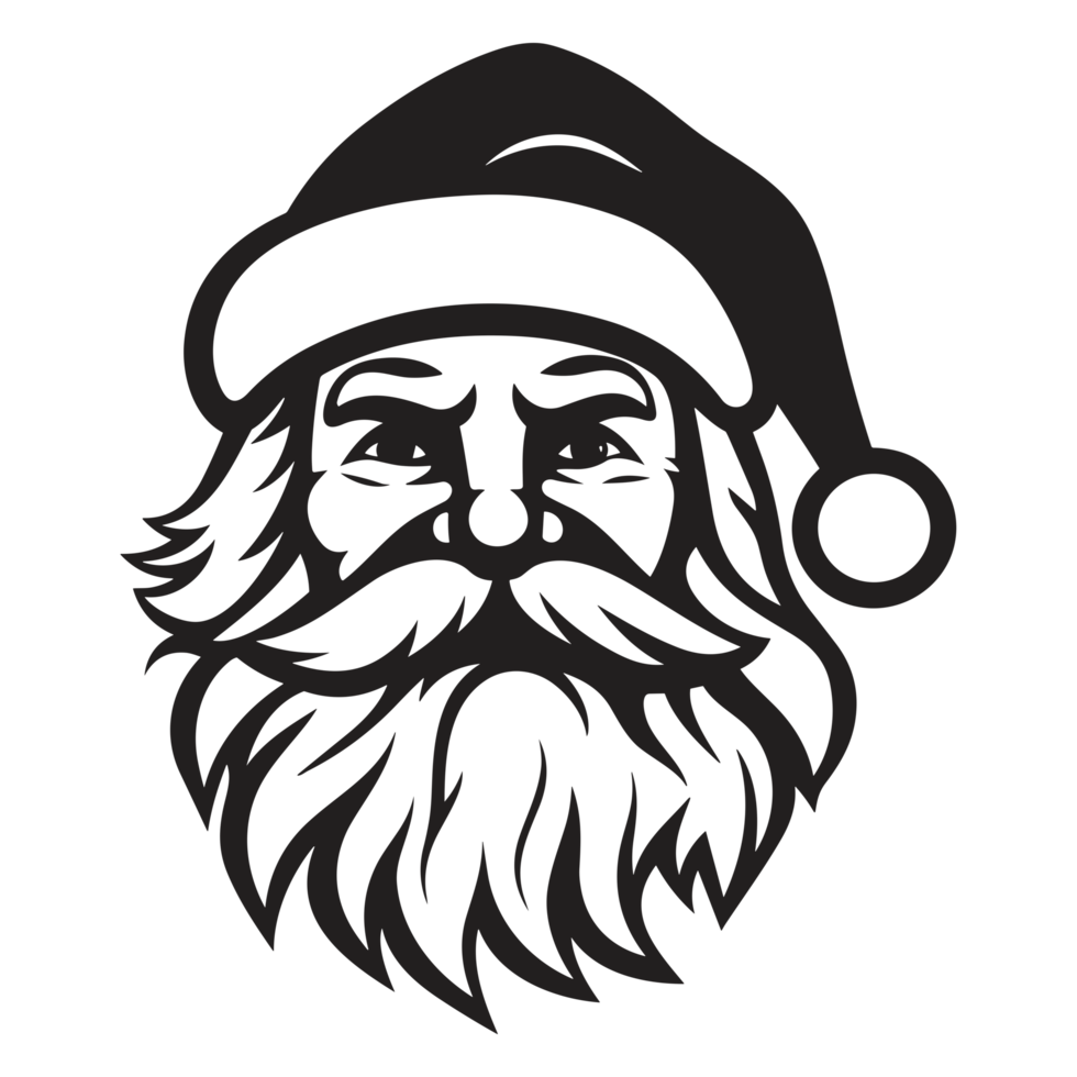 Beautiful Santa Face - png
