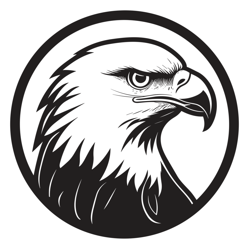 Beautiful Eagle Face Silhouette - png