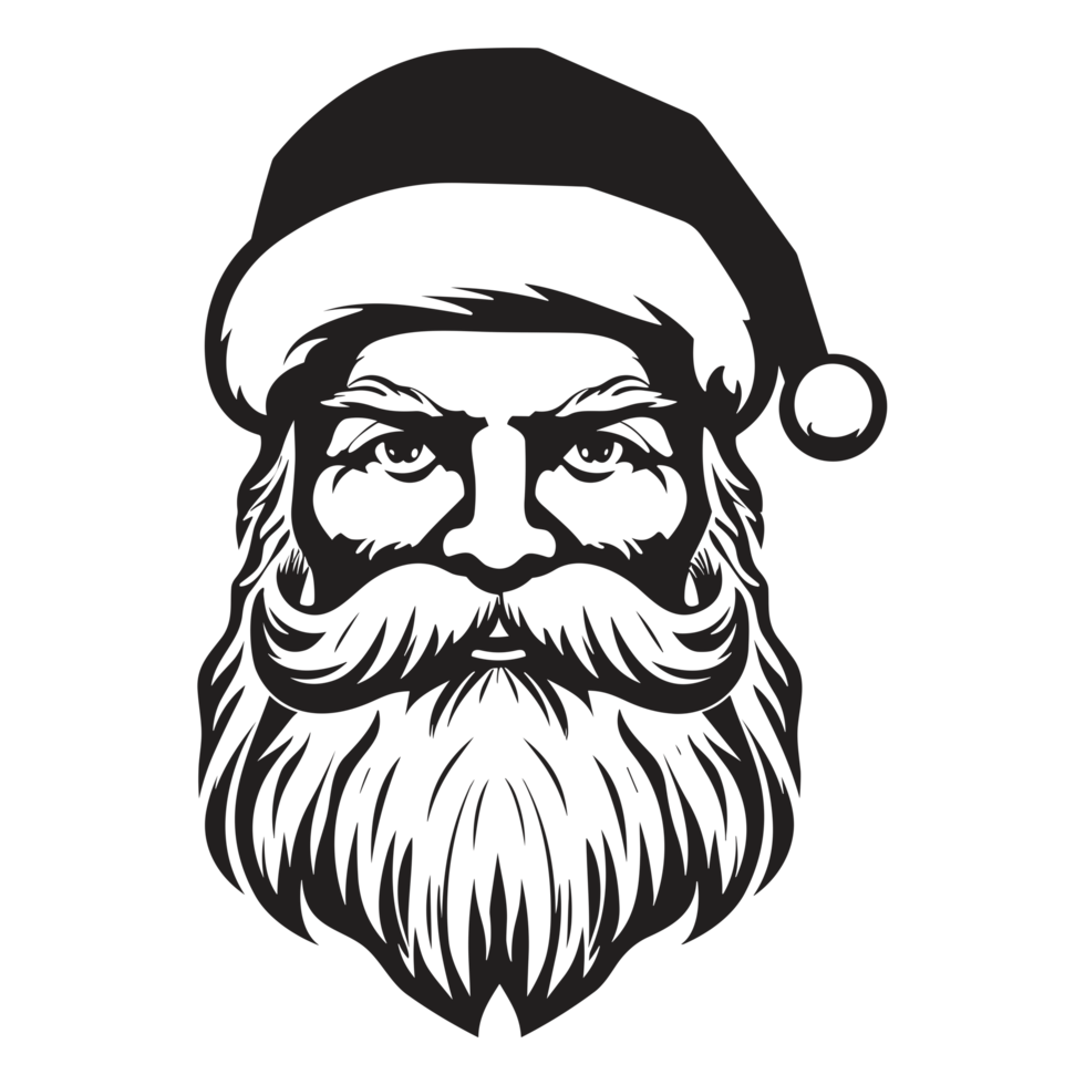 Beautiful Santa Face - png