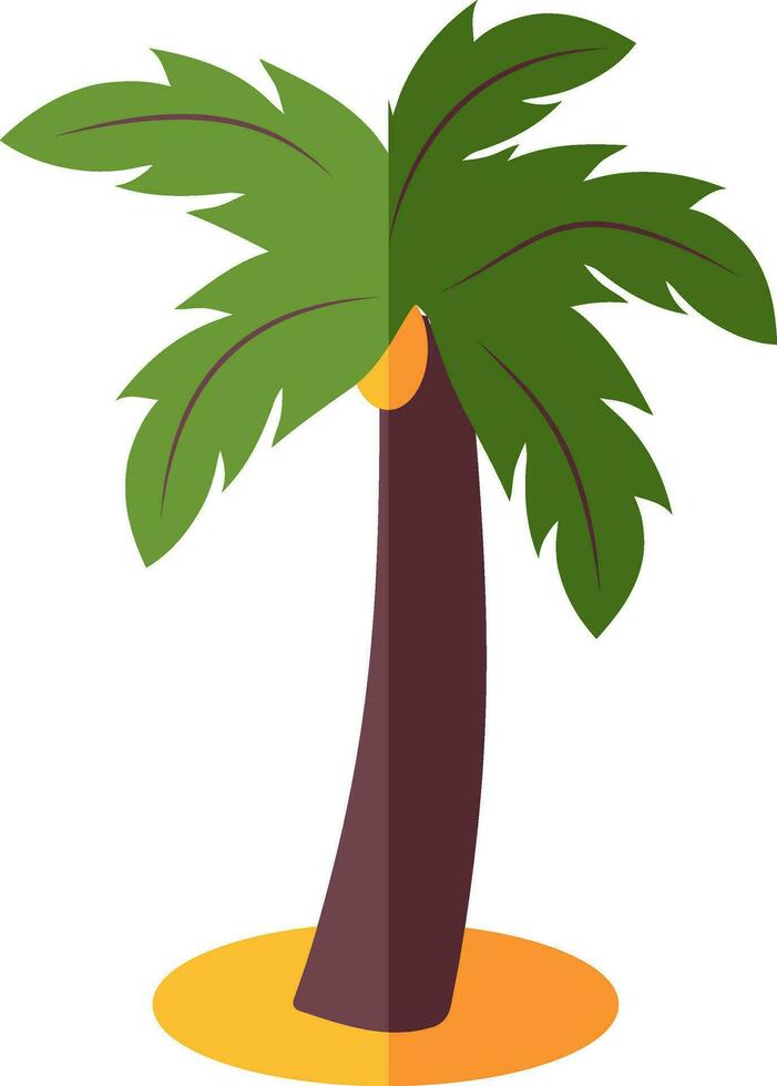 Vector illustration of coconut tree.