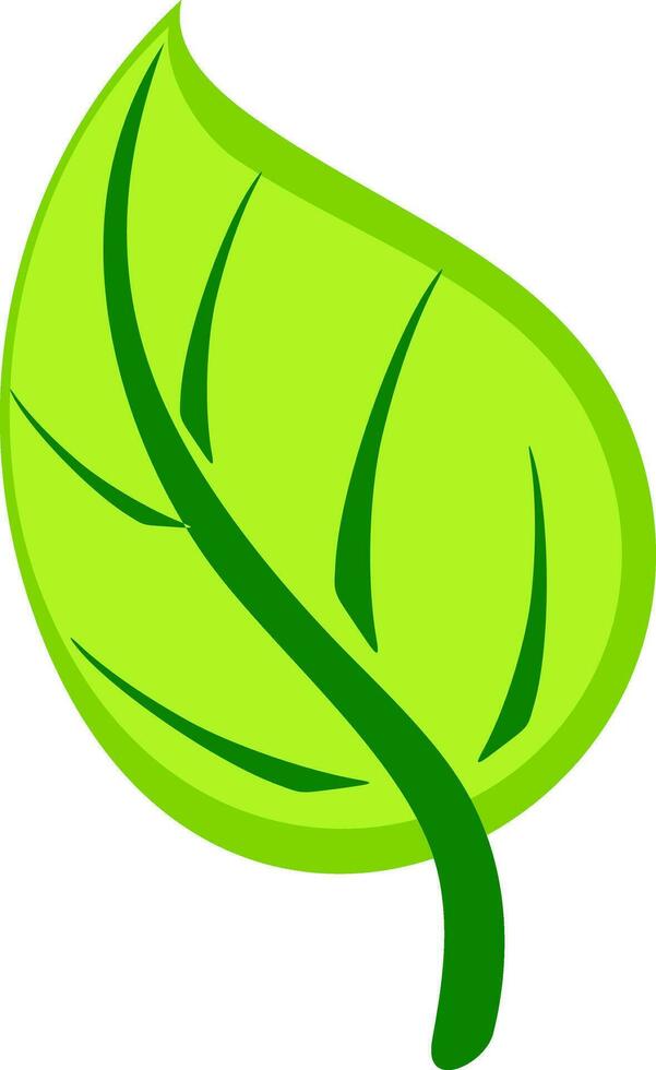 Illustration of green leaf. vector