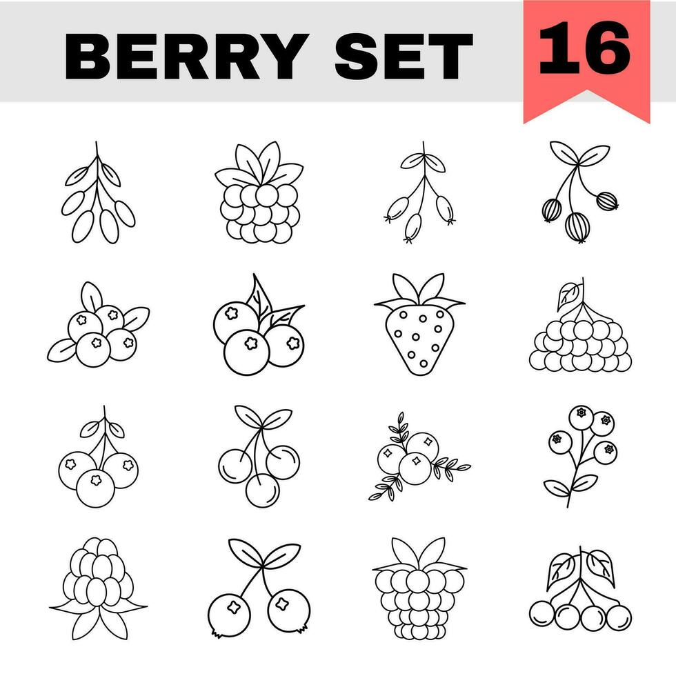 Black Line Art Berry Icon Set In Flat Style. vector