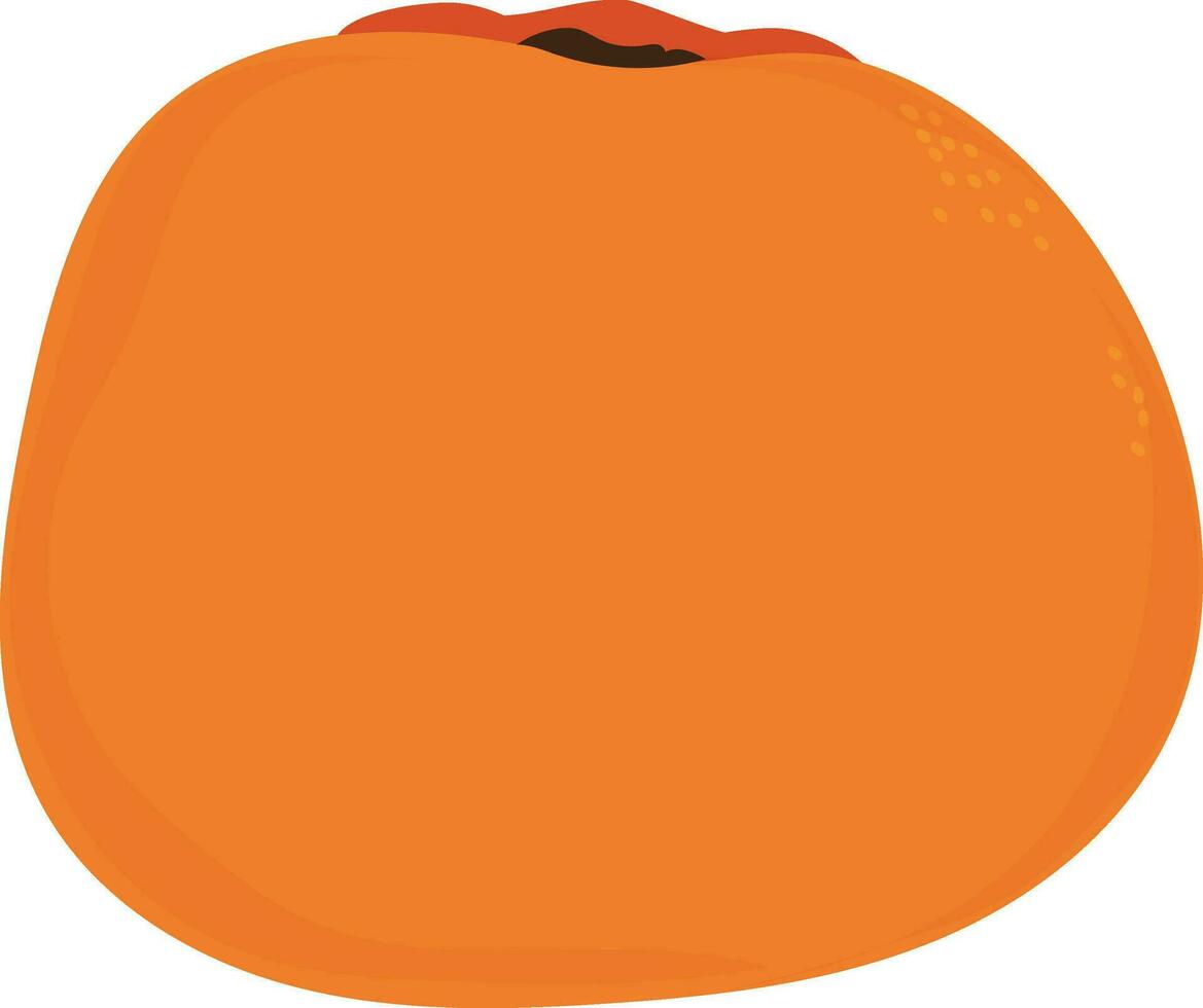 Illustration of a orange. vector