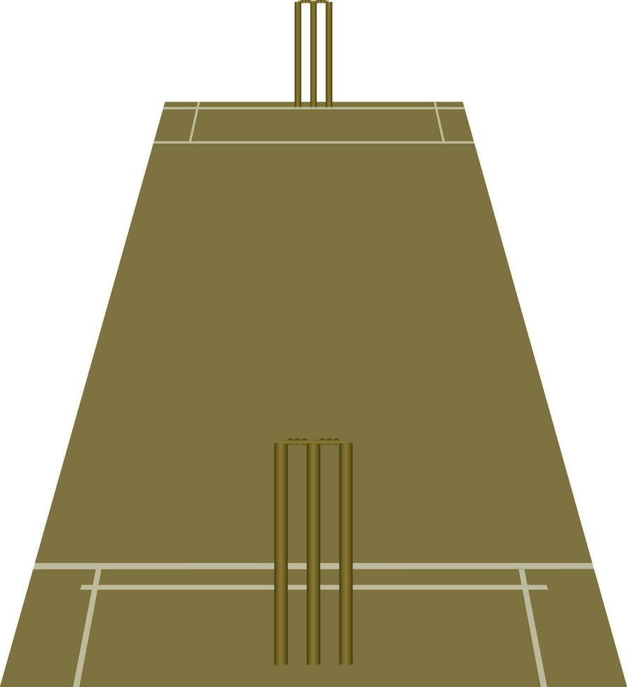 Flat illustration of cricket pitch. vector