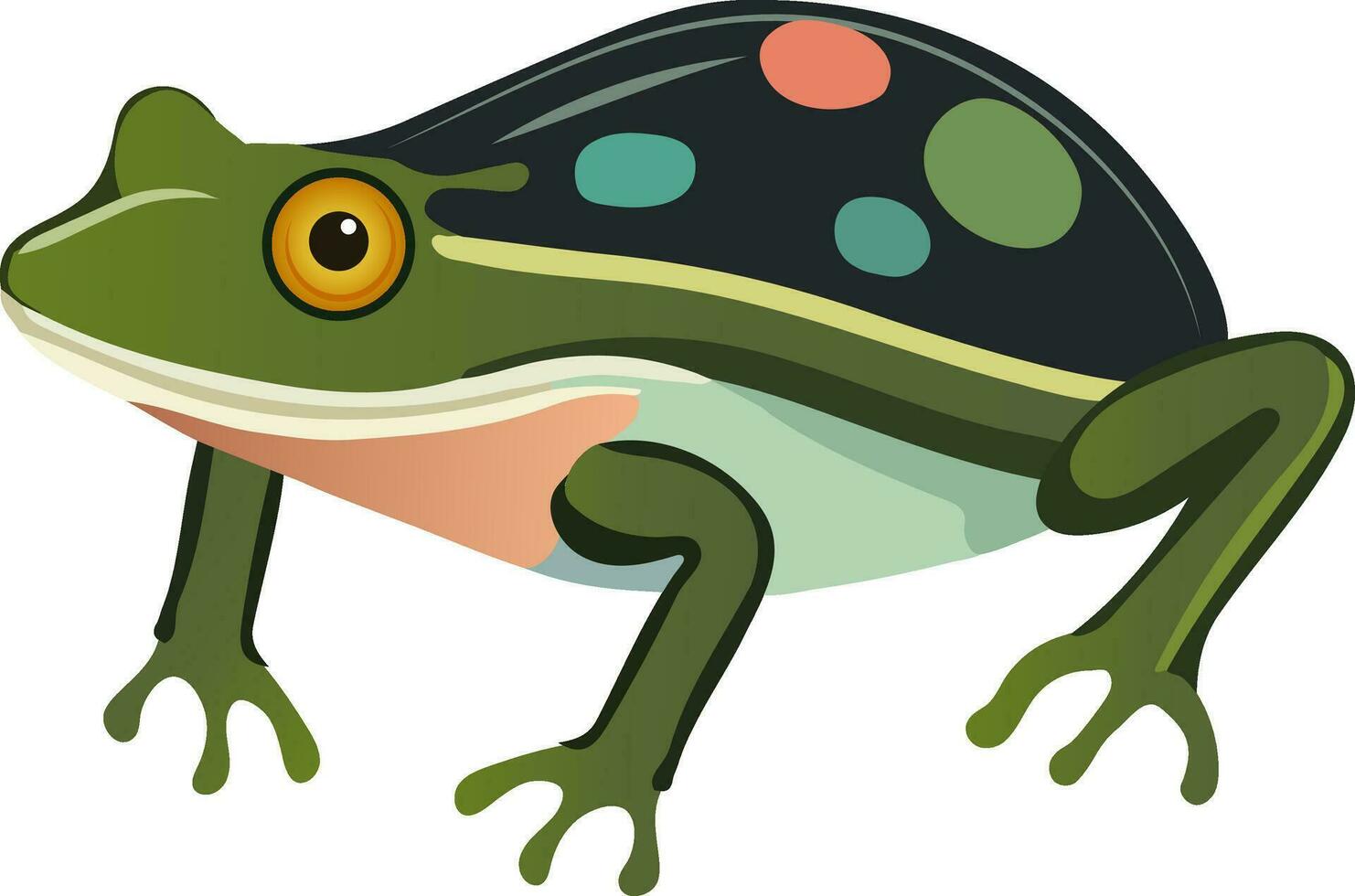 Isolated Poison Dart Frog Icon In Flat Style. vector
