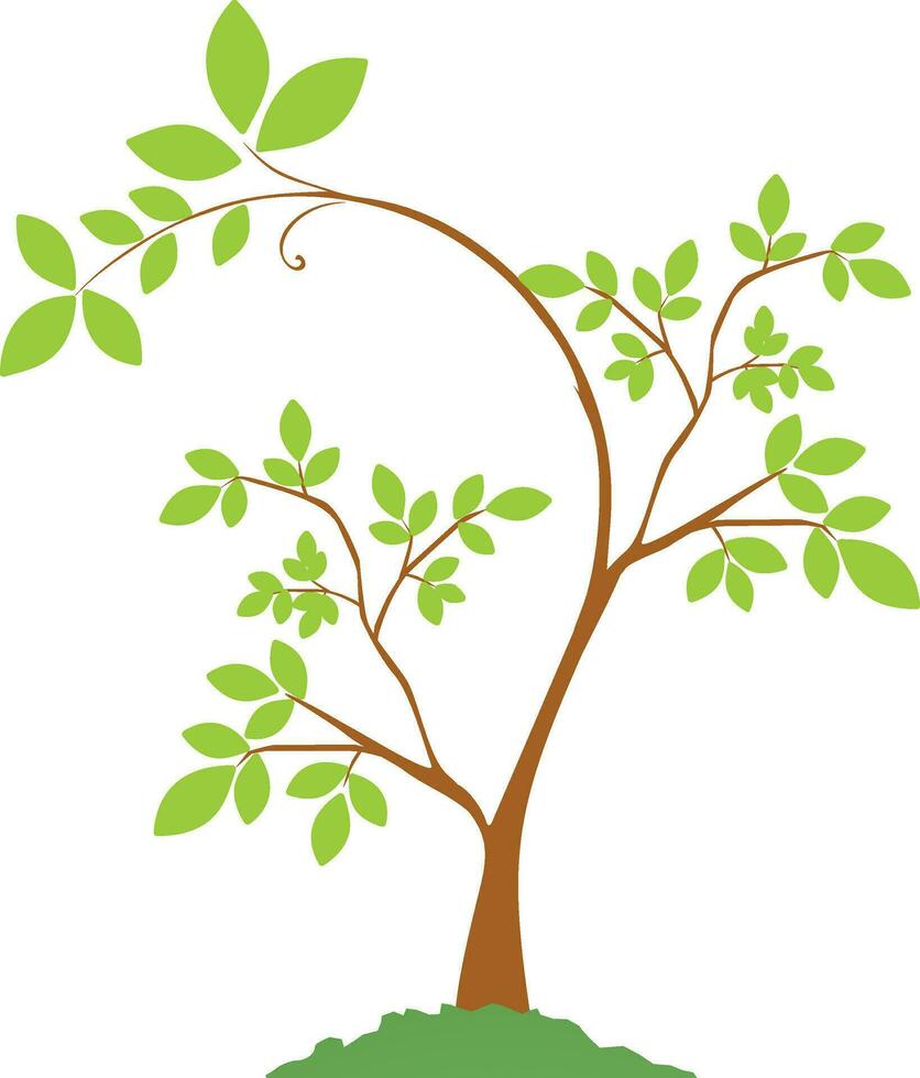 Leaves decorated Plant in flat style illustration. vector