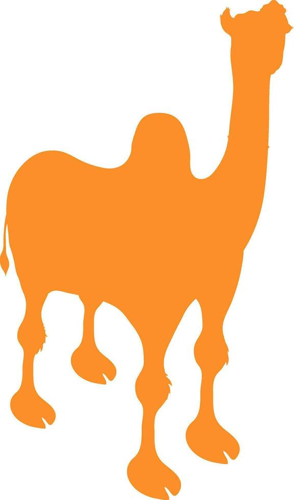 Illustration of a camel. vector