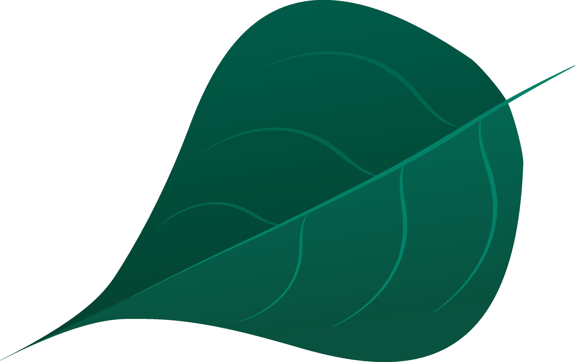 Betel Paan Leaf Element In Green Color 25086668 Vector Art At Vecteezy betel-paan-leaf-element-in-green-color-25086668-vector-art-at-vecteezy