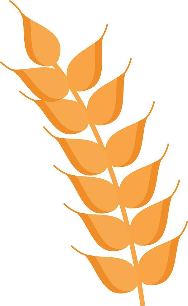 Wheat Ear Element In Orange Color. vector