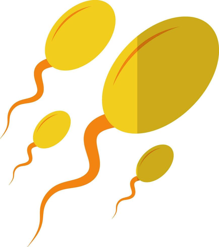 Yellow and orange sperms. vector