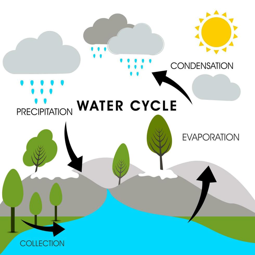 World Water Day Concept vector