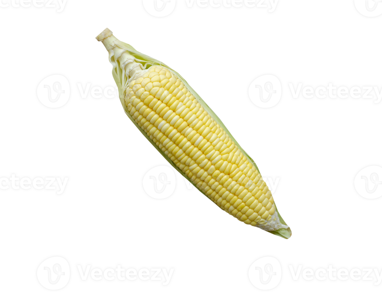 one corn on transparent background, top view png