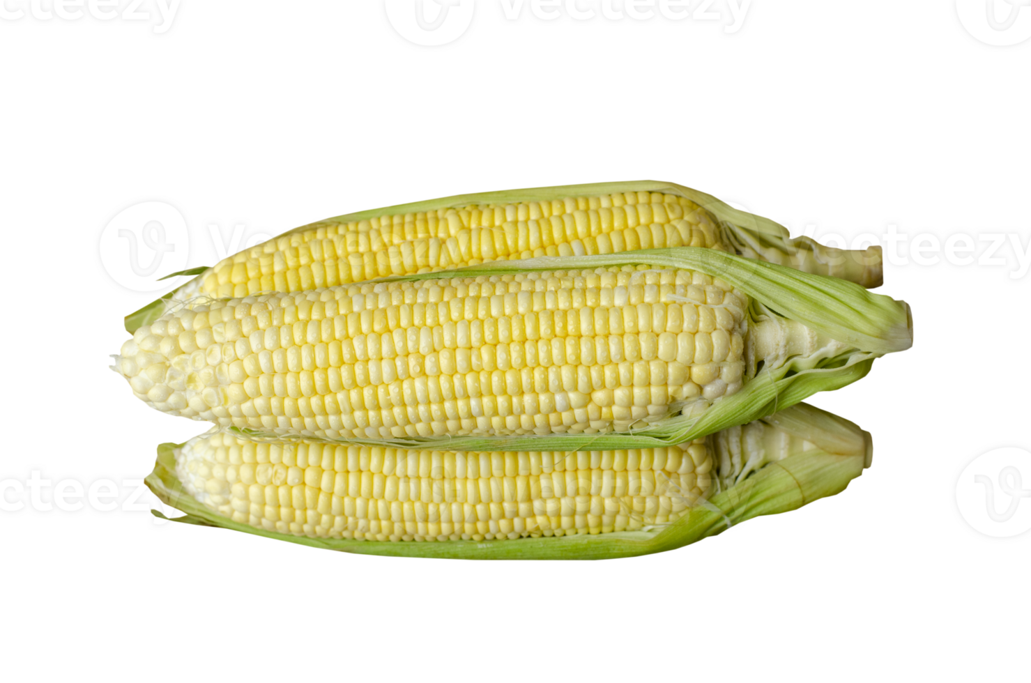 Corn on transparent background, top view png