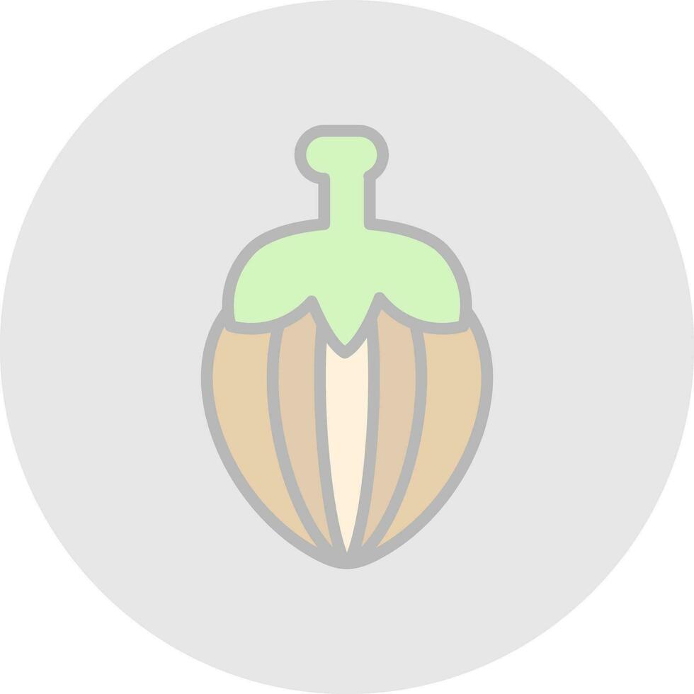 Hazelnut Vector Icon Design
