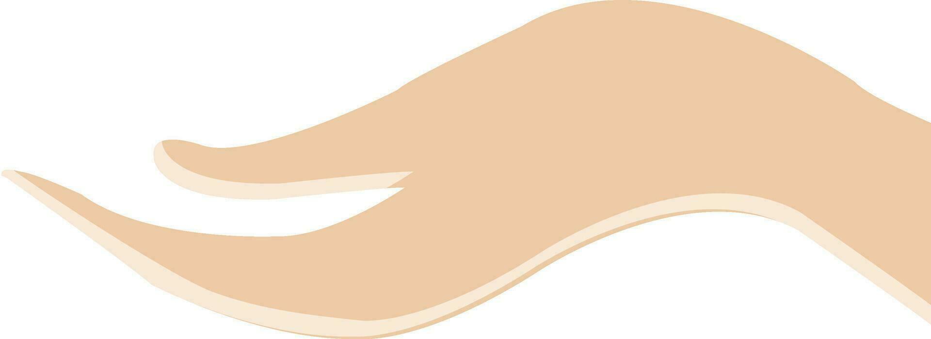 Beautiful open woman's hand, palm up. vector