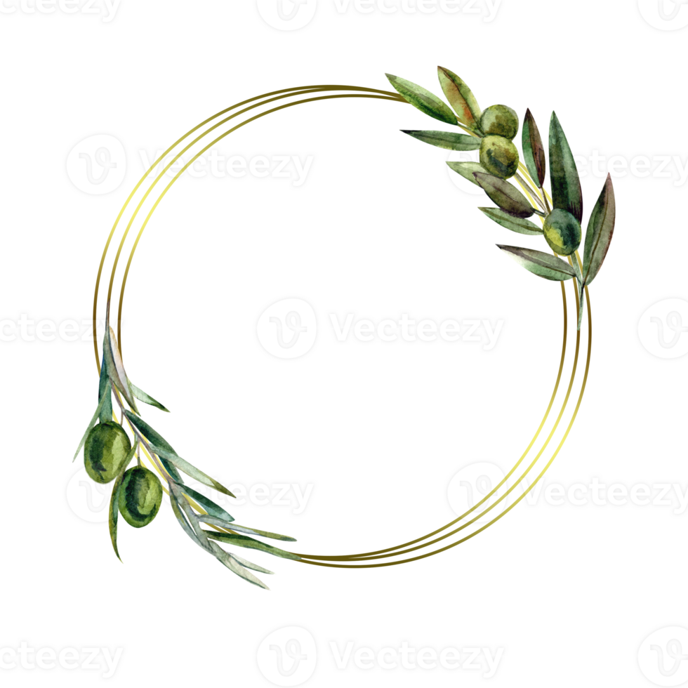 Gold frame with olives branch png