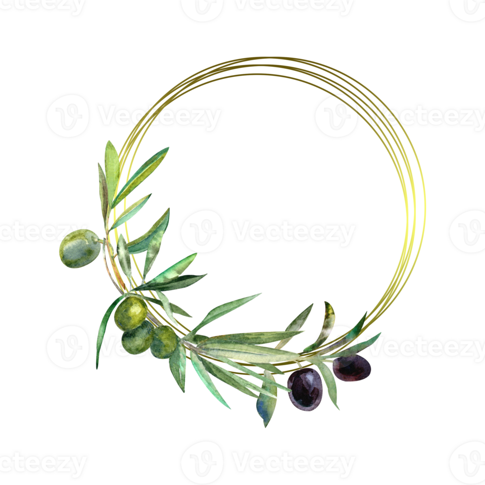 Gold frame with olives branch png