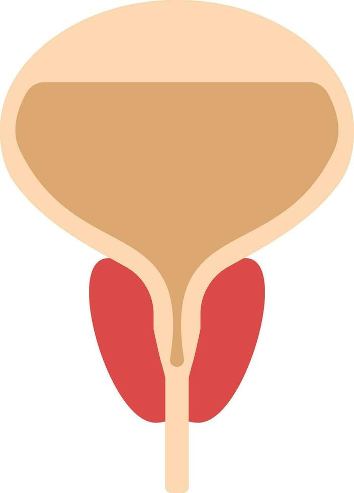 plano estilo próstata glándula icono en melocotón y rojo color. vector