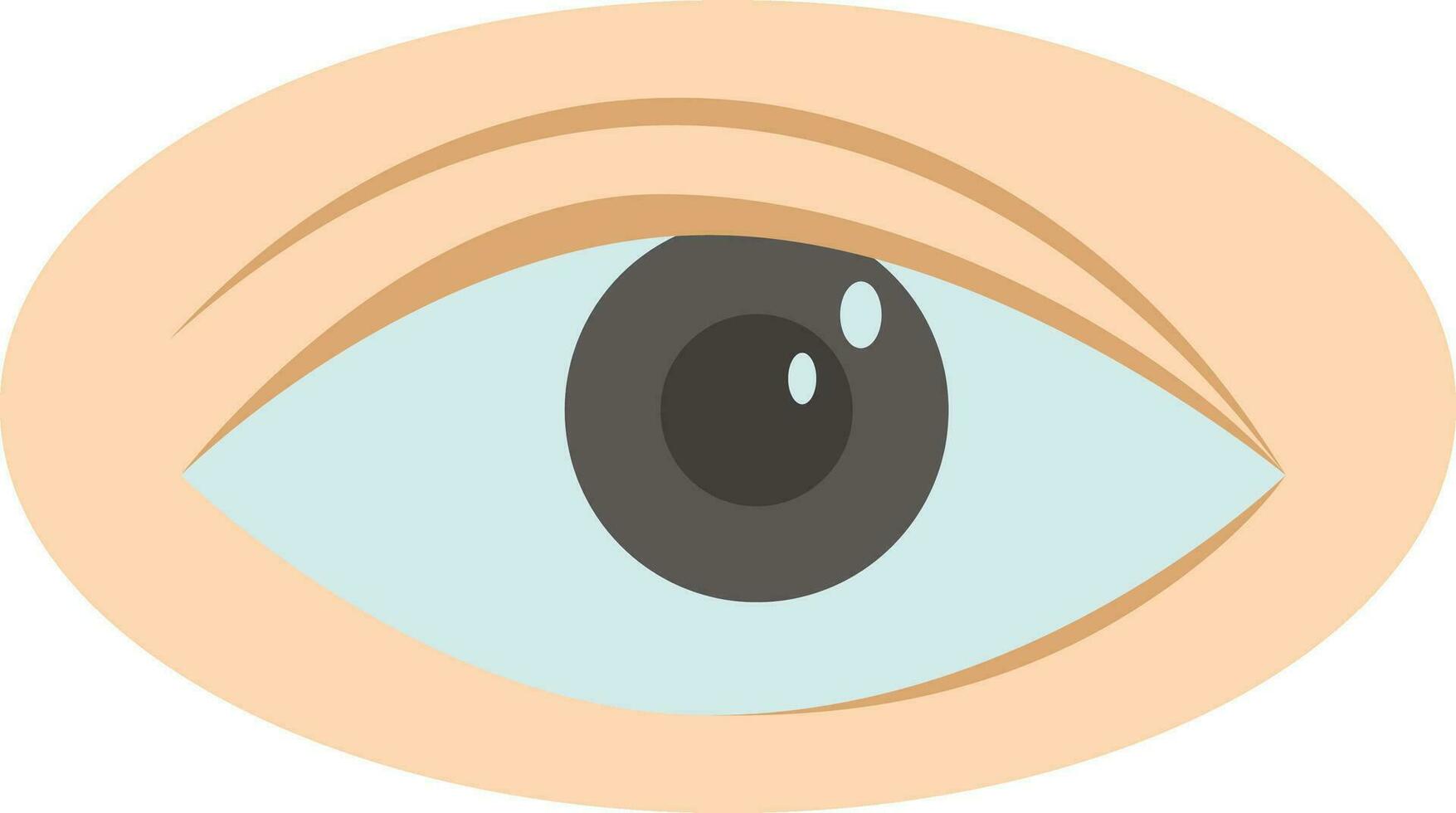 hermosa humano ojo icono en plano estilo. vector