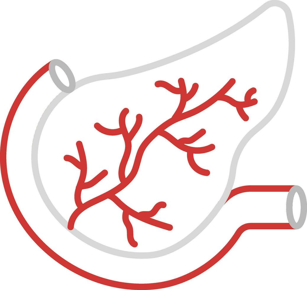 Red and Grey Pancreas Anatomy Outline Icon. vector