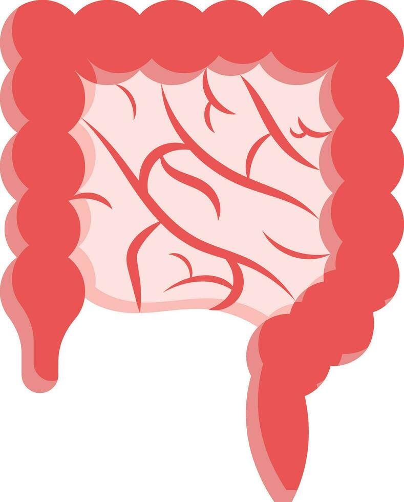 Flat Illustration Of Intestine Anatomy Red Icon. vector