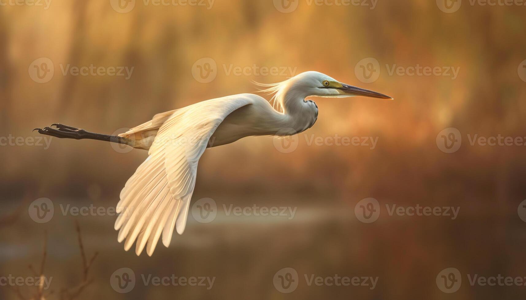 The elegant great egret spreads its wings in tranquil reflection generated by AI photo