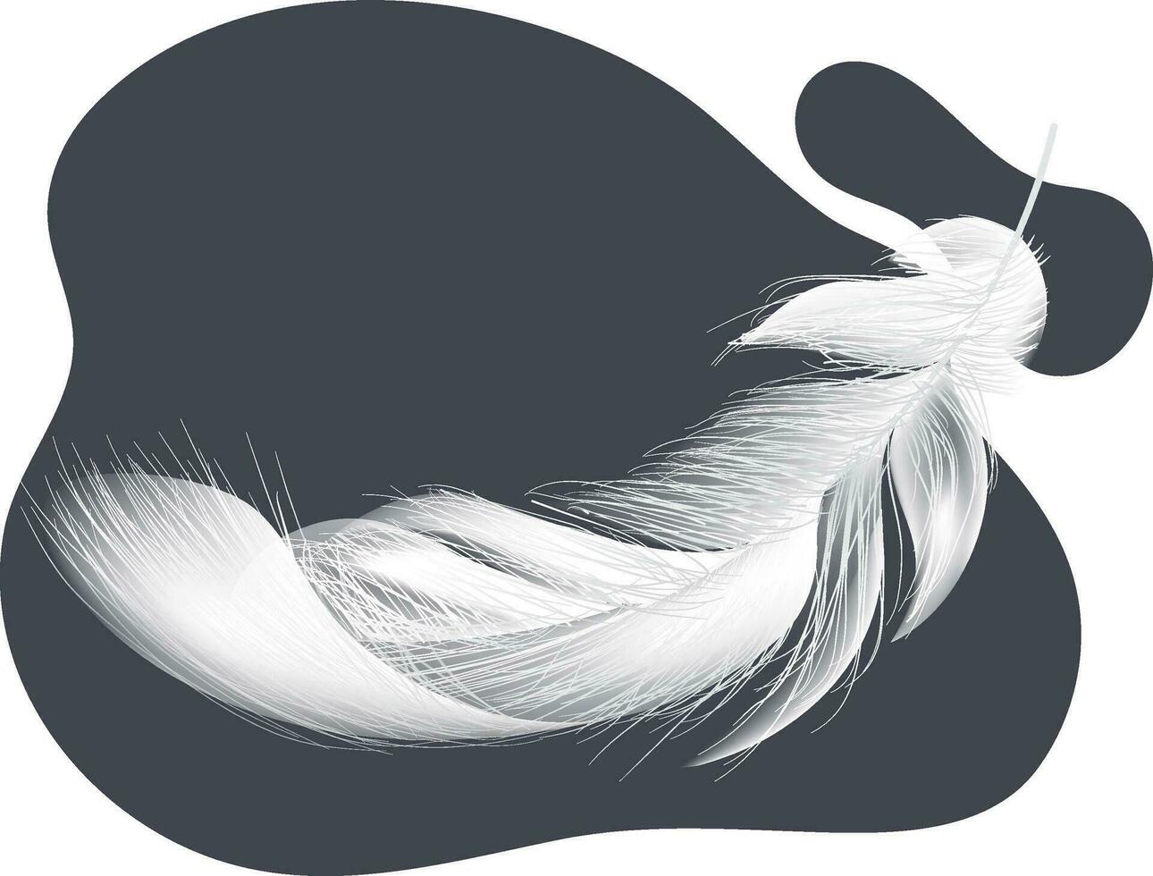 Isolated realistic feather on white background. vector