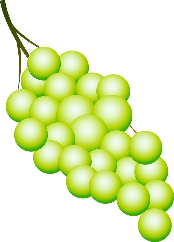 Vector illustration of grapes element.