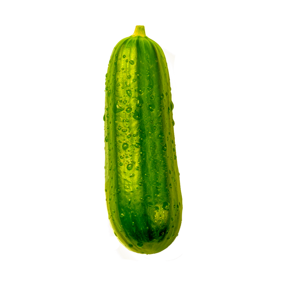 vert concombre, concombre Hamburger légume , concombre transparent Contexte génératif ai png