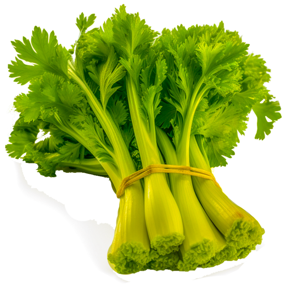Handful Of Green Fresh Celery png