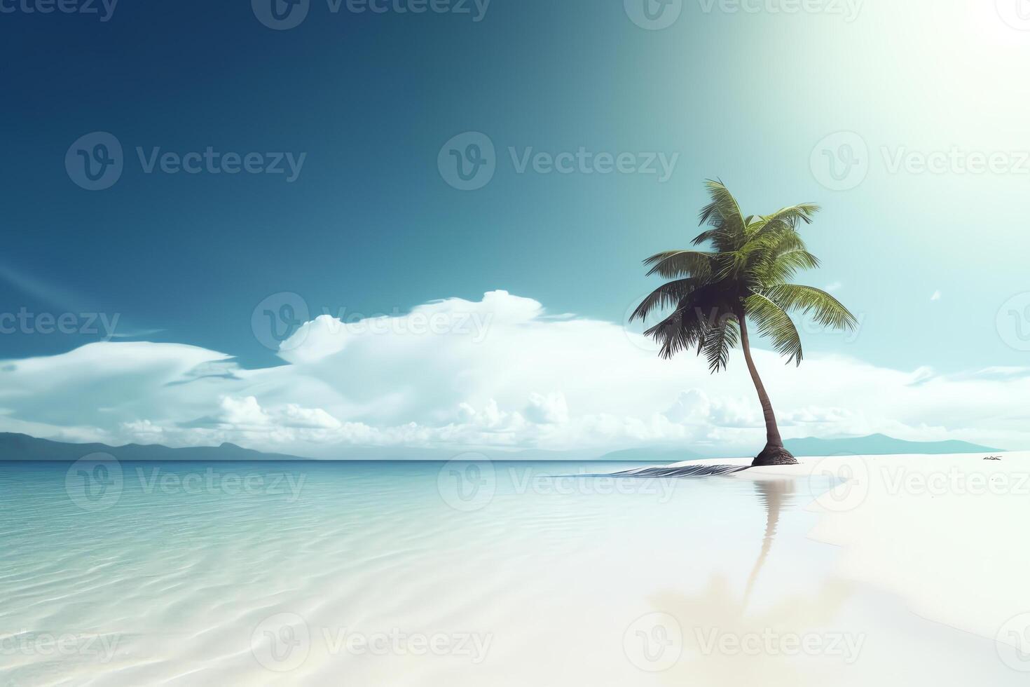 a palm tree in beautiful beach with bright sky photo