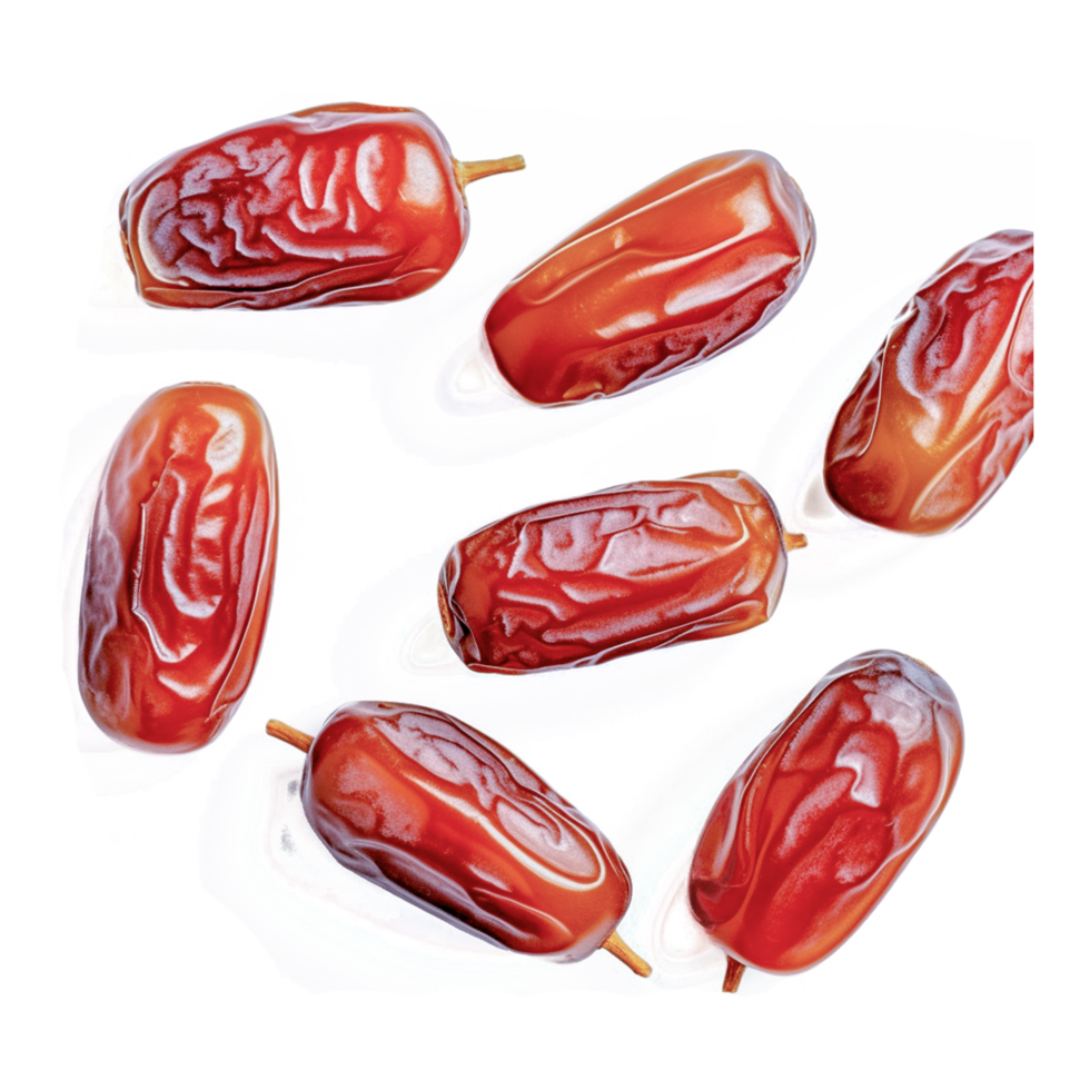 Iddba 2024 Dates Fruit Edwina Kimberlee