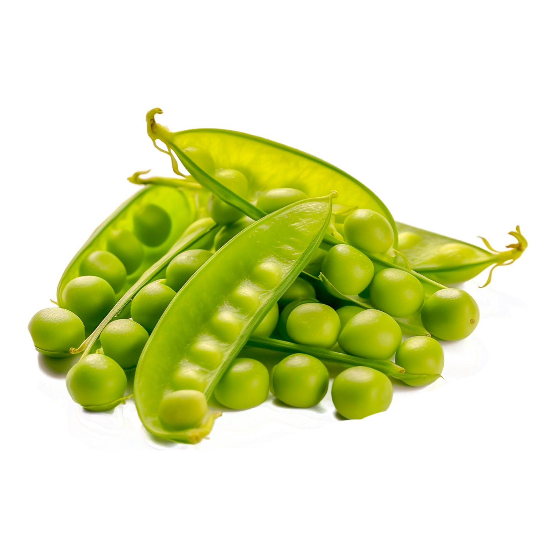 Soybean Plant Pea Plant Pod Vegetable Legume PNG Generative Ai