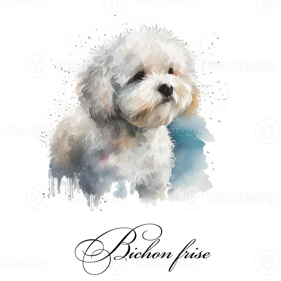 Watercolor illustration of a single dog breed bichon frise. AI generated. Dog portrait. photo