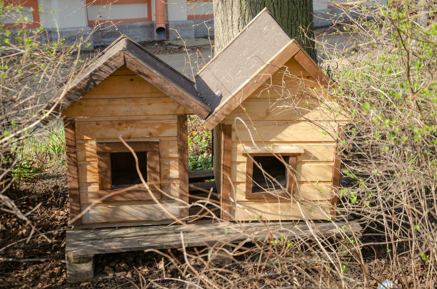 wooden houses for animals on the street photo