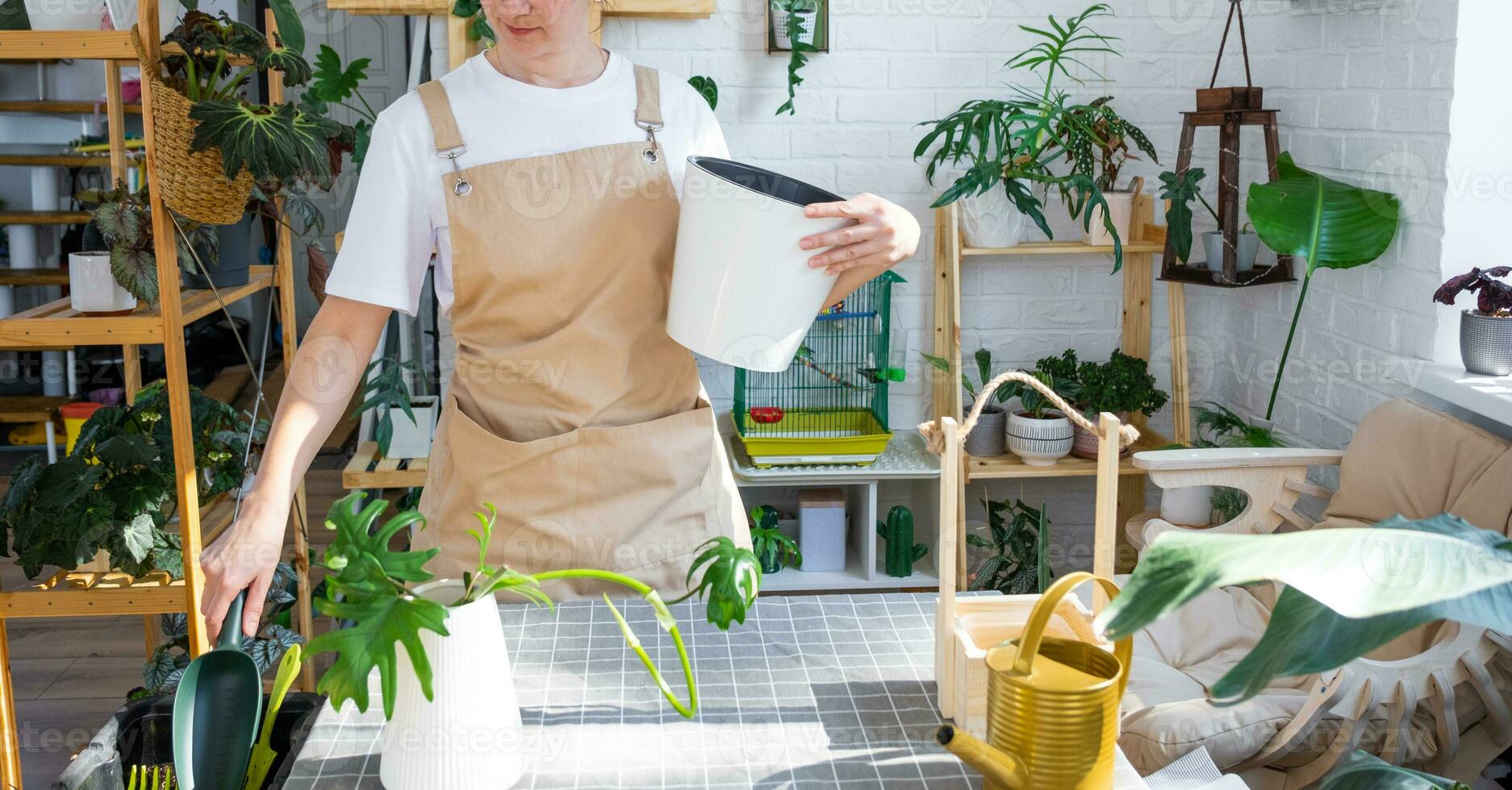 https://static.vecteezy.com/system/resources/previews/025/108/912/non_2x/woman-in-an-apron-holds-a-pot-with-a-double-bottom-and-automatic-watering-for-planting-rooted-cuttings-of-the-house-plant-philodendron-mayo-planting-and-care-green-house-mock-up-drainage-liner-photo.jpg