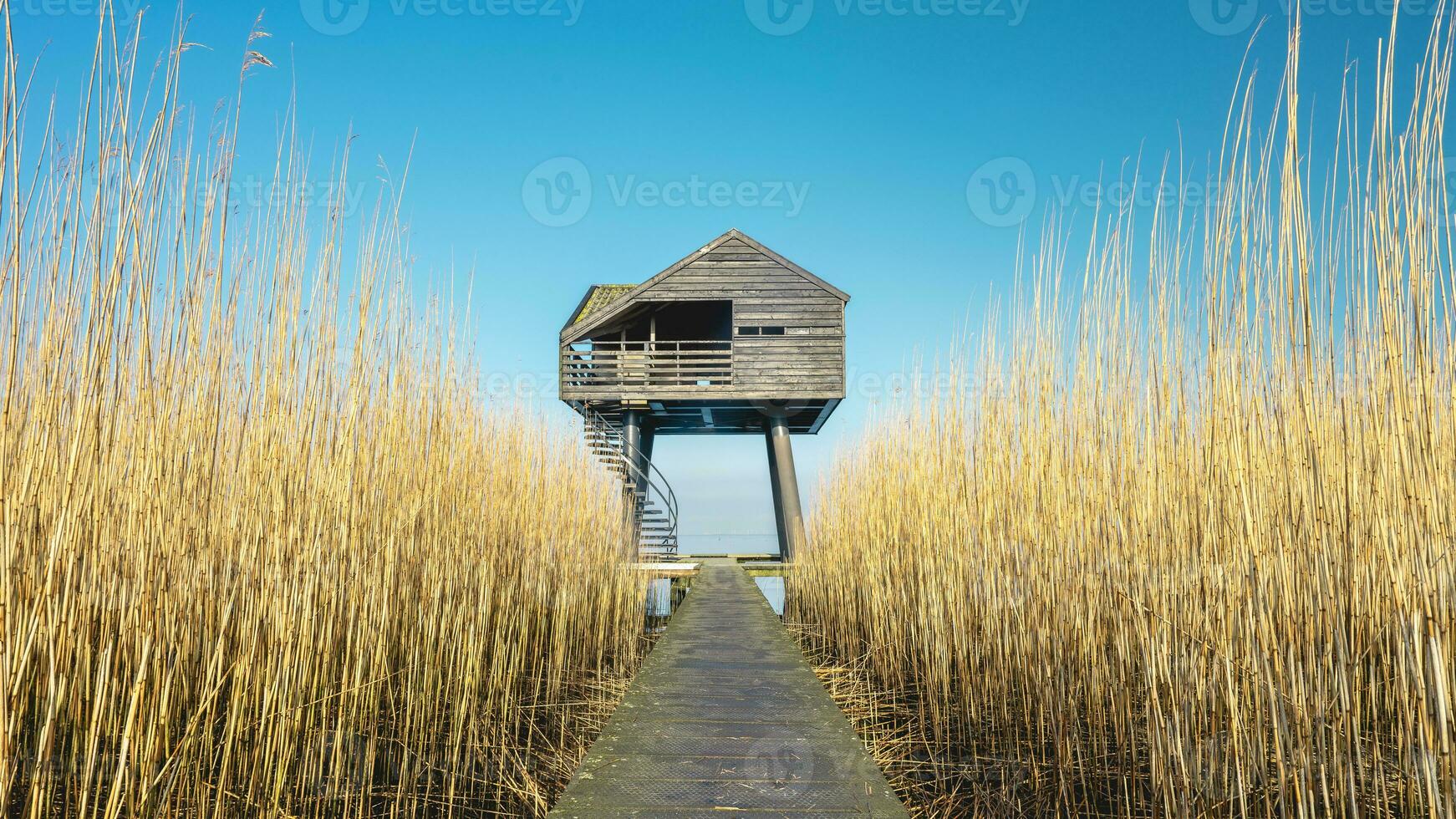 Beautiful landscape in the north of the Netherlands. Drieborg, Groningen. photo