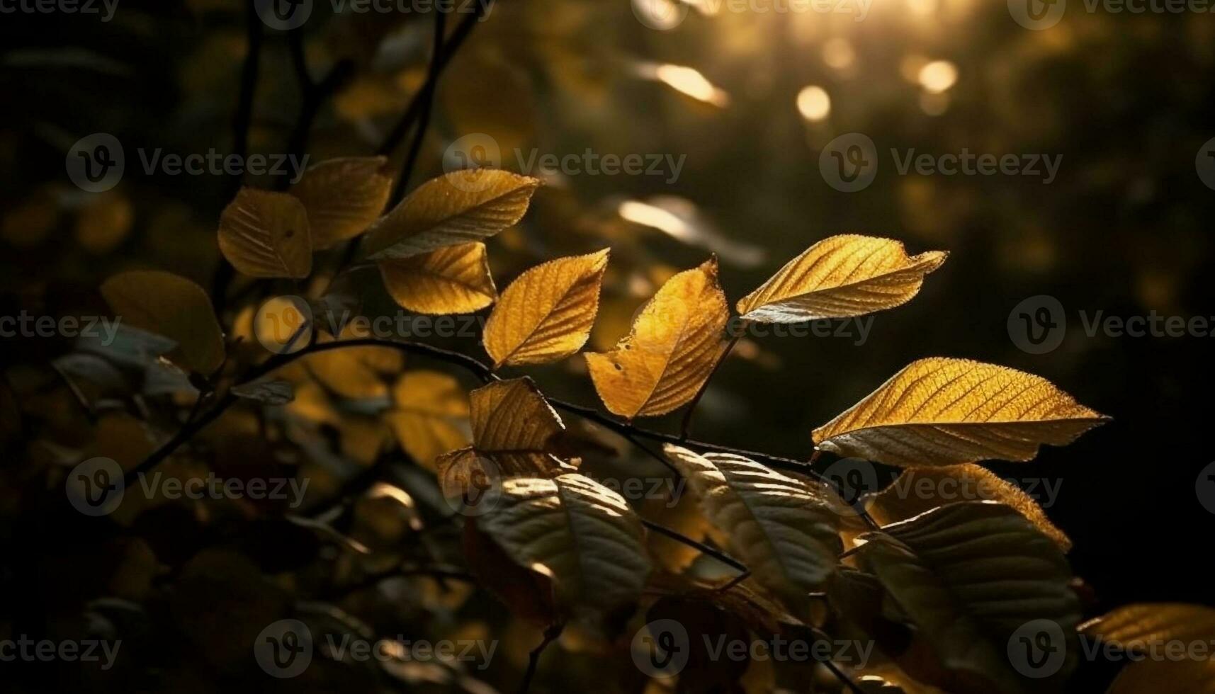 Vibrant autumn maple tree, gold and orange generated by AI photo