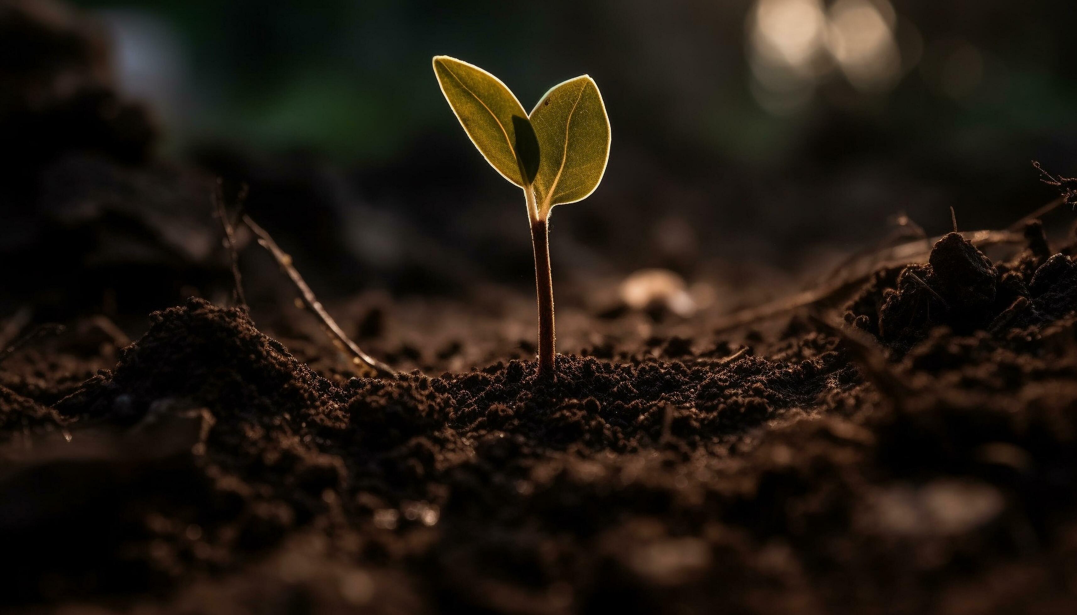 Fresh green seedling grows in dirt, symbolizing new life and growth generated by AI 25122100