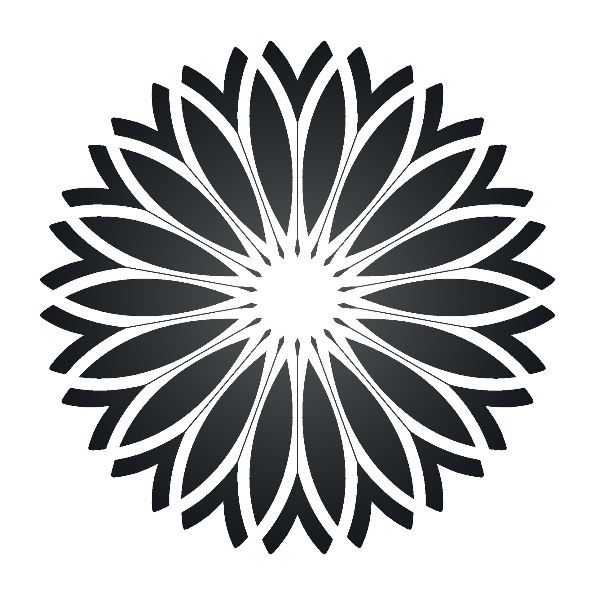 Modern ornaments illustration on white background 25126383 Vector Art