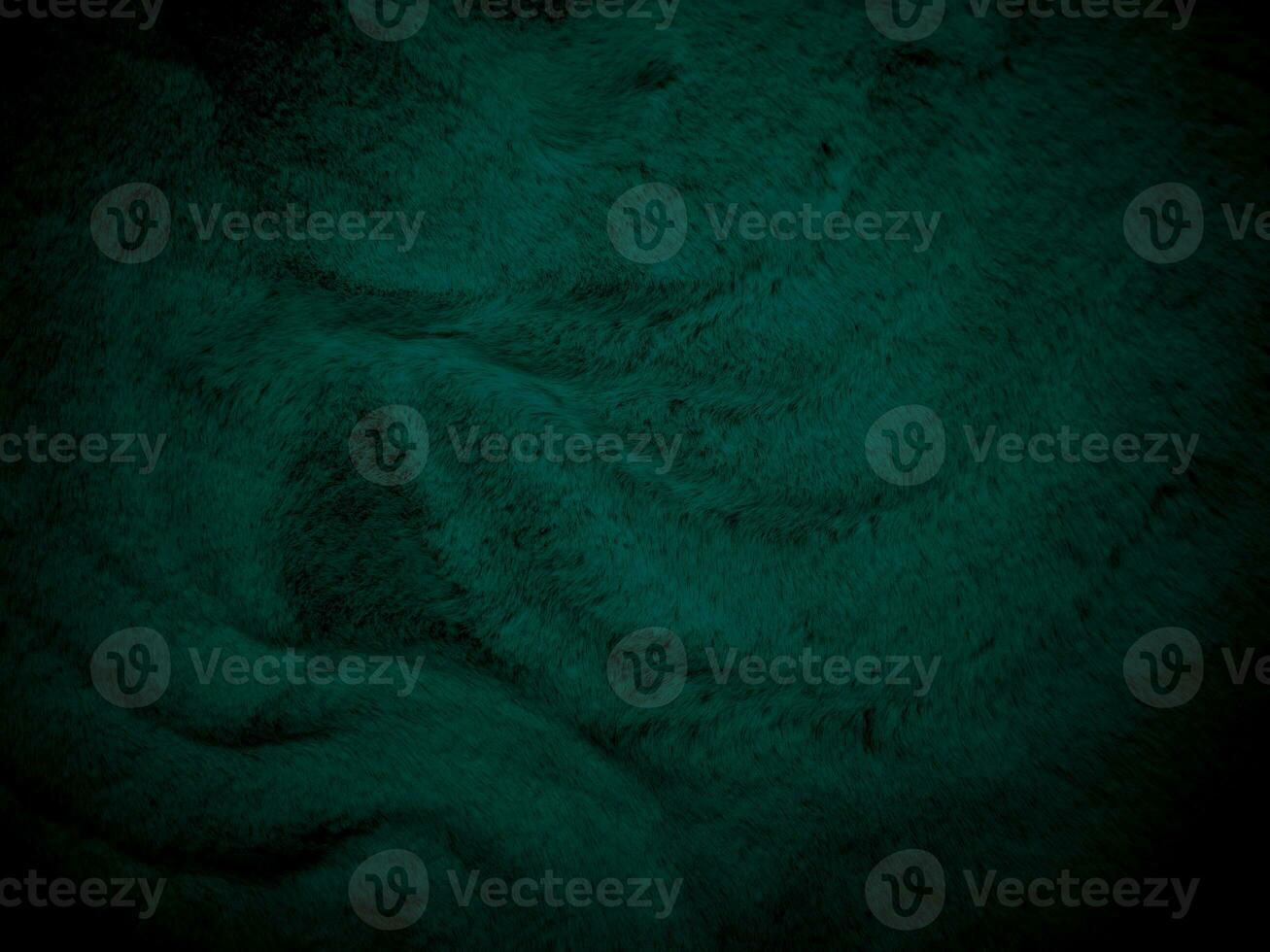 Green clean wool texture background. light natural sheep wool. serge seamless cotton. texture of fluffy fur for designers. close up fragment green flannel haircloth carpet broadcloth. photo