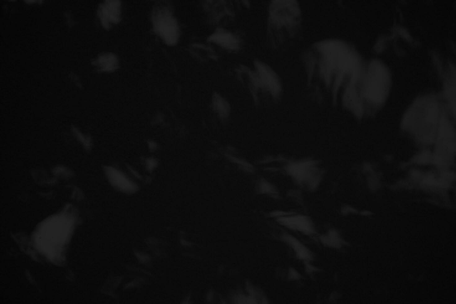 Background gradient black overlay abstract background black, night, dark, evening, with space for text, for a background... photo