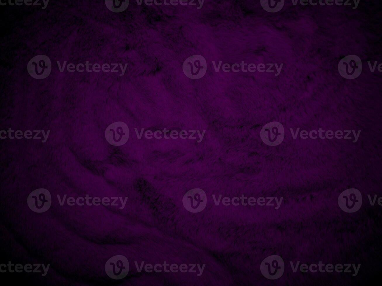 Purple clean wool texture background. light natural sheep wool. serge seamless cotton. texture of fluffy fur for designers. Fabric close up fragment violet flannel haircloth carpet broadcloth. photo