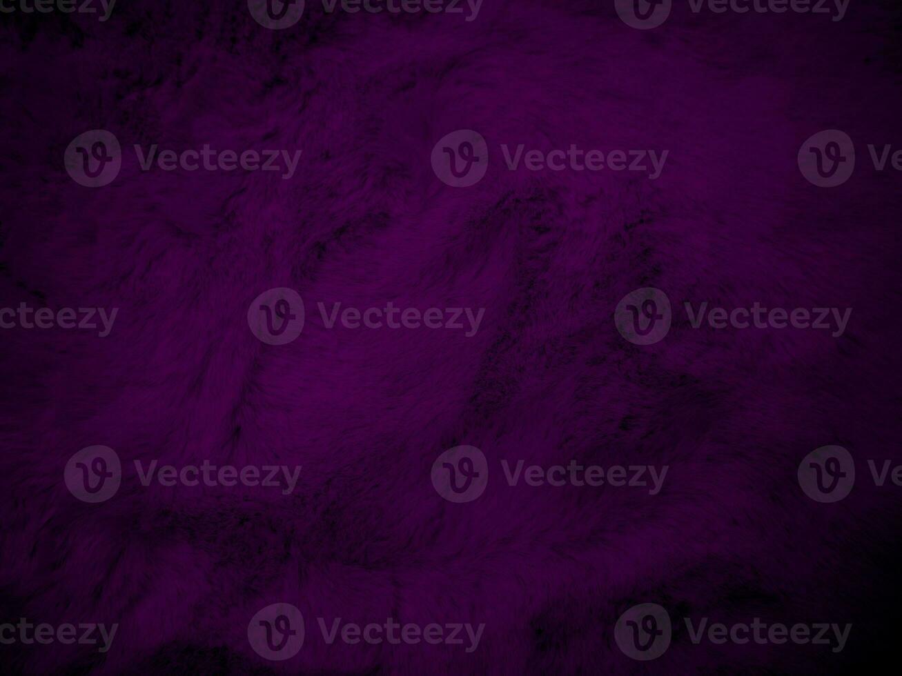 Purple clean wool texture background. light natural sheep wool. serge seamless cotton. texture of fluffy fur for designers. Fabric close up fragment violet flannel haircloth carpet broadcloth. photo