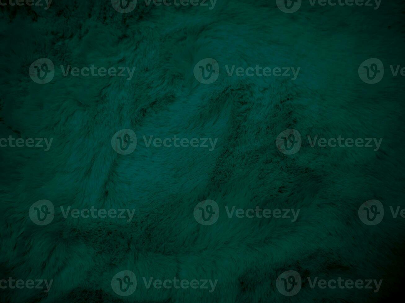 Green clean wool texture background. light natural sheep wool. serge seamless cotton. texture of fluffy fur for designers. close up fragment green flannel haircloth carpet broadcloth. photo