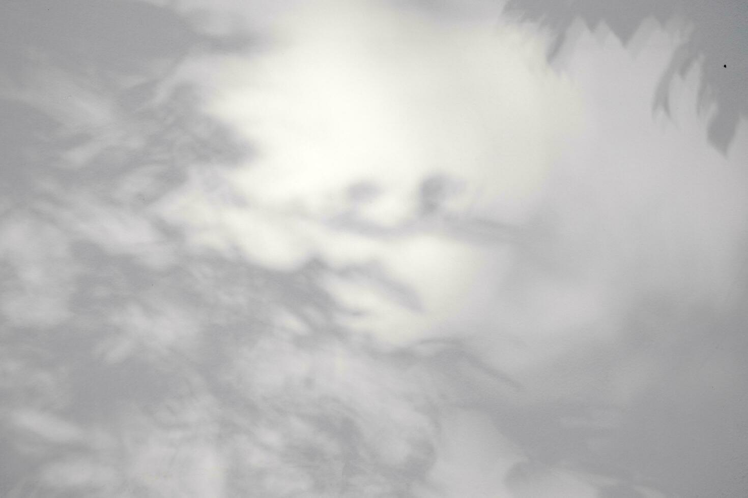 Seamless texture of white cement wall a rough surface and leaf shadow, with space for text, for a background photo