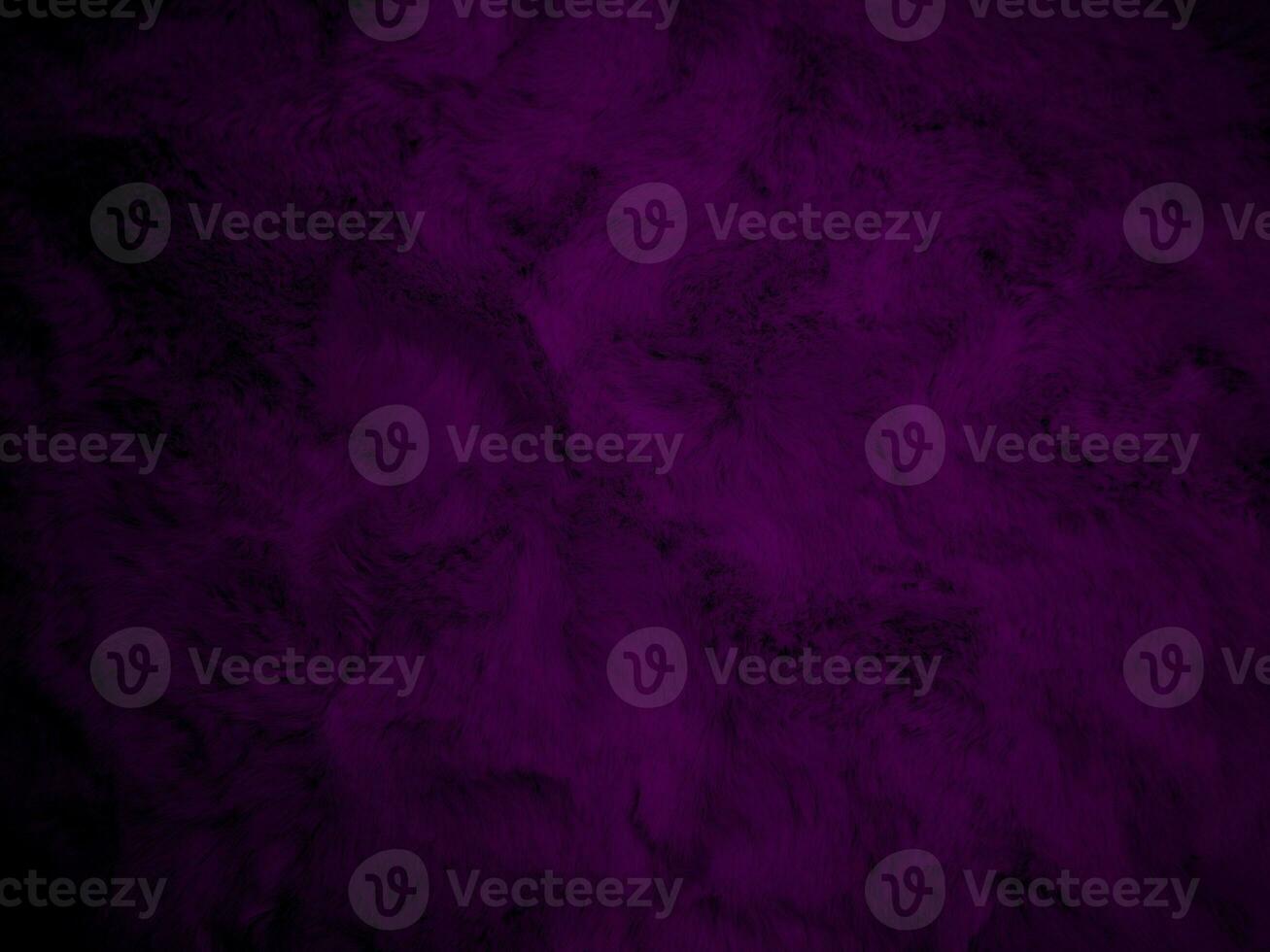 Purple clean wool texture background. light natural sheep wool. serge seamless cotton. texture of fluffy fur for designers. Fabric close up fragment violet flannel haircloth carpet broadcloth. photo