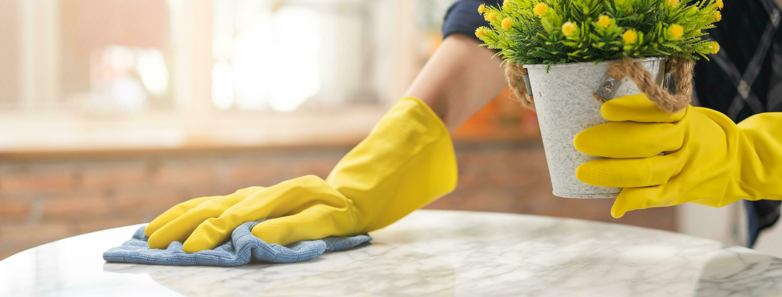 Cleaning hygiene, hand of maid, waitress woman wearing yellow protective gloves while cleaning , take out flowerpot from table and using blue rag wiping to dust. Housekeeping clean up, cleaner. photo